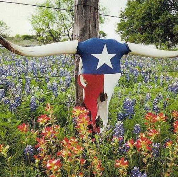 Meet your Posher, Farrah - Picture 2 of 3